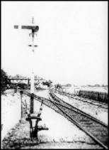 Signal at Ashcombe Road