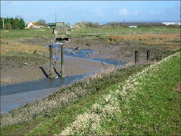 R Yeo Bridge April 06
