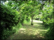 Site of Walton Park halt