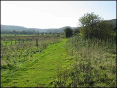 Weston in Gordano - track bed