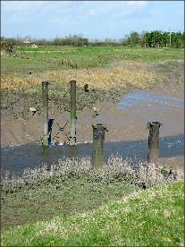R Yeo Bridge April 06